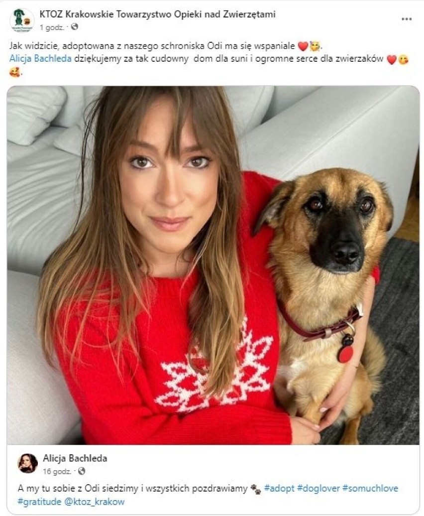 Alicja Bachleda-Curuś adoptowała psa z krakowskiego schroniska
