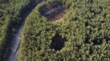 Zakaz wstępu do lasów powiatu olkuskiego został przedłużony. Zapadliska nadal stwarzają zagrożenie dla mieszkańców. Zobacz zdjęcia