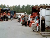 Powiat nowodworski. Okradł rolnika z warzyw i mięsa