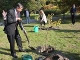 Ambasador Japonii w ogrodzie botanicznym w Łodzi sadził drzewka sakura