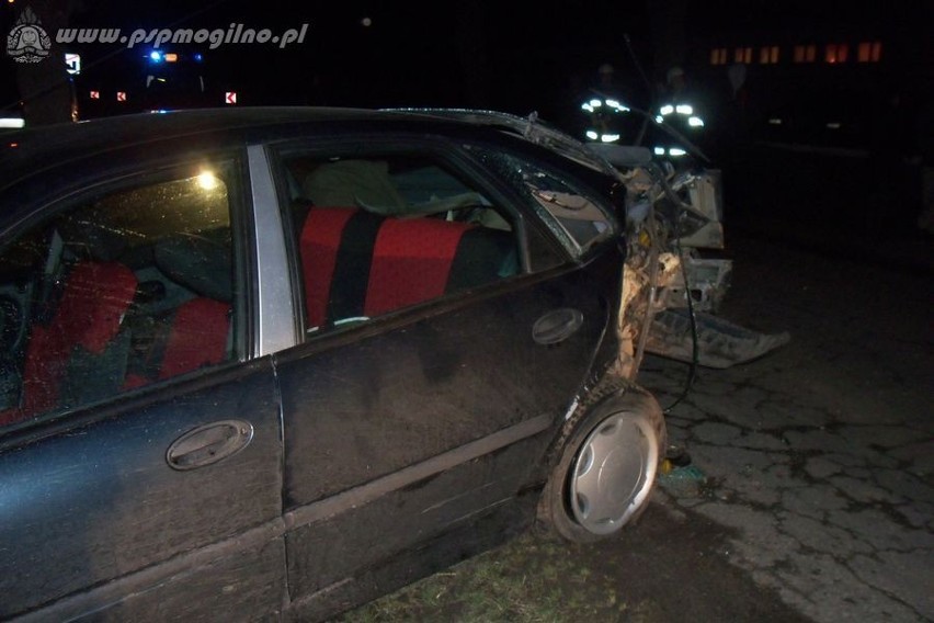 Wypadek w Dąbrowie. Auto uderzyło w drzewo [zdjęcia]