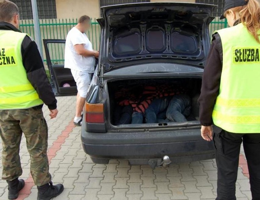 Nielegalni migranci jechali w bagażniku volkswagena