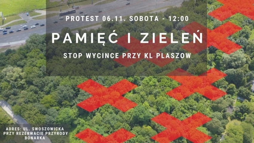 Kraków. Trwa burza wokół Muzeum KL Plaszow. Ruszyła wycinka, a w ślad za nią - protesty
