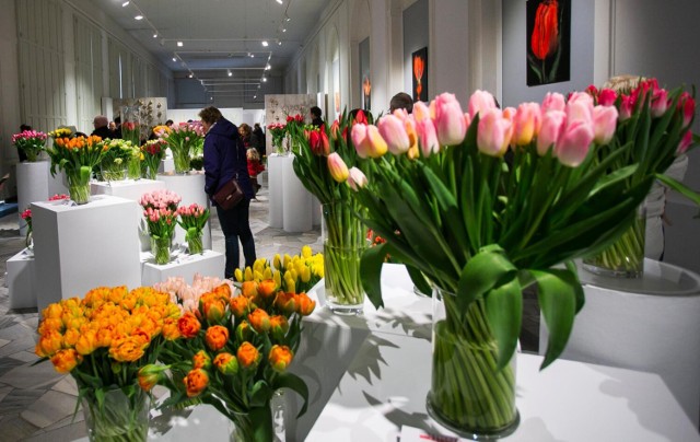 Poszukiwacze kolorowej wiosny w najbliższy weekend powinni udać się do Wilanowa. W Oranżerii wilanowskiego pałacu odbędzie się  XIII Wystawa tulipanów. Jak zawsze zaprezentowane będą różnorodne odmiany tulipanów wyprodukowane w polskich gospodarstwach ogrodniczych. Wystawie będzie towarzyszył kiermasz kwiatowo-cebulowy obok Oranżerii oraz bogaty program wydarzeń.

KIEDY: 25 - 26 marca 2023 r.
GDZIE: Pałac w Wilanowie
WSTĘP: od 1 zł

Kolejne wydarzenie na następnej stronie >>>