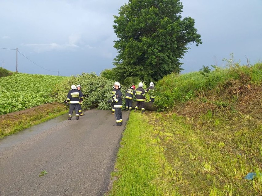 Przechodzą burze nad regionem. Zalane posesje, połamane drzewa