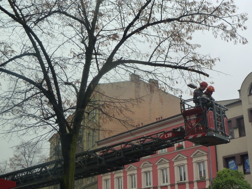 Akcja strażaków na Górnośląskiej