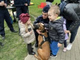 Setki osób uczestniczyło w Radomiu w „Pikniku dla Ustroniaków i ich Psiaków”. Zobaczcie zdjęcia 