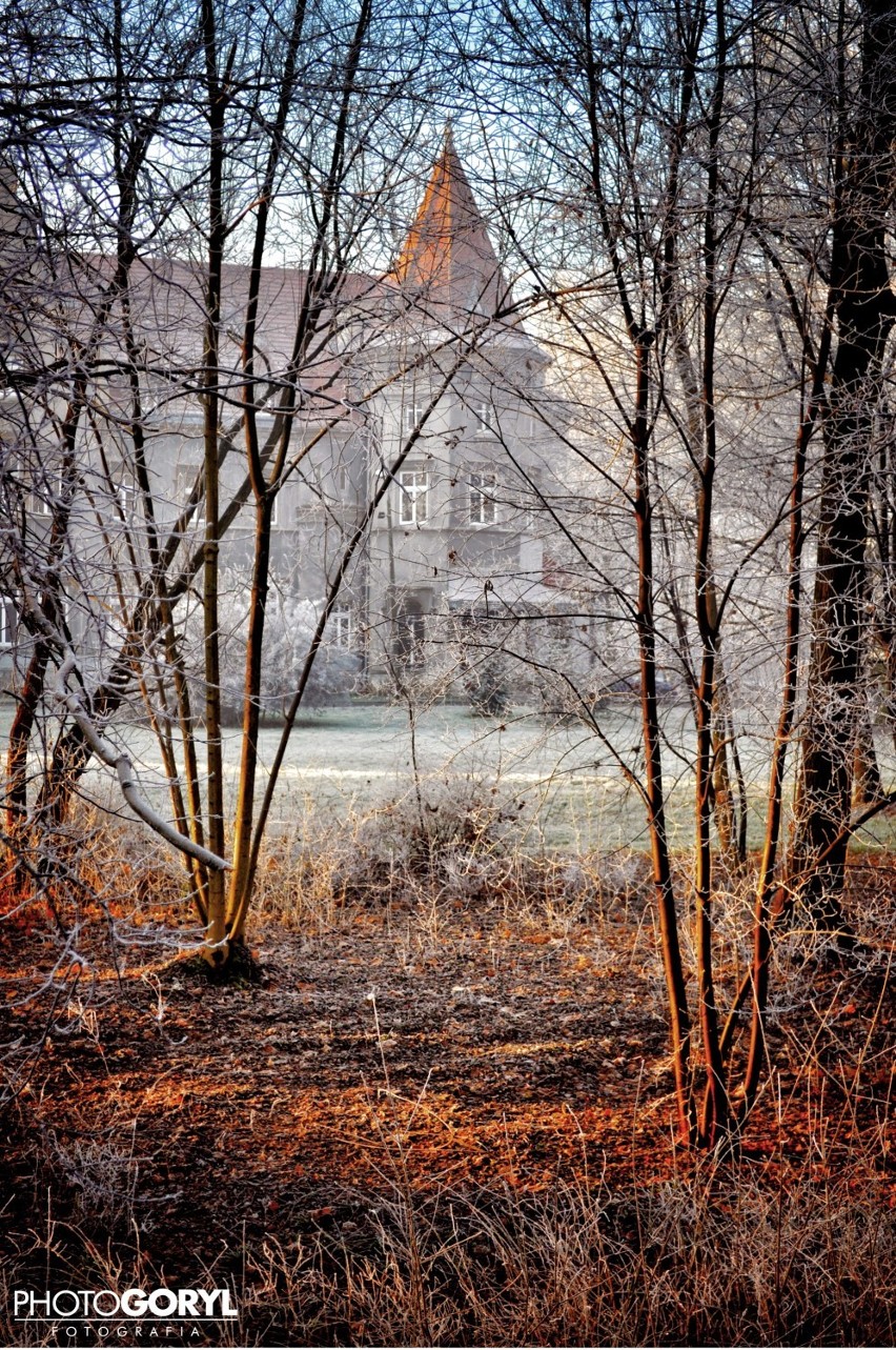 Zima na zdjęciach Macieja Goryla