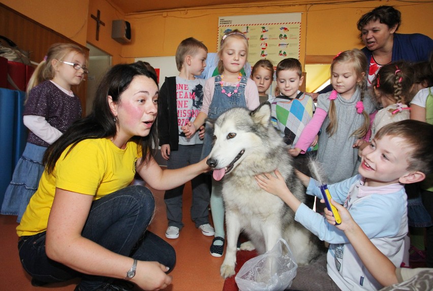 Zajęcia dogoterapii w piotrkowskim przedszkolu