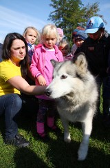 Zajęcia dogoterapii w piotrkowskim przedszkolu