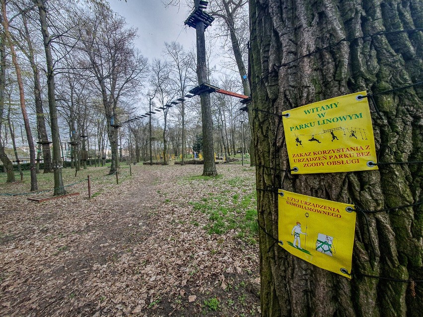 Park Tarzan w Lesznie - tak wygląda w drugiej połowie kwietnia 2023