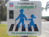 Przechodź na zielonym! Nowe tabliczki w Szczecinie