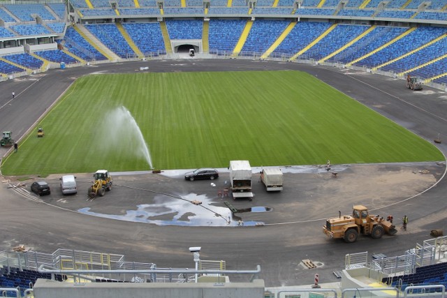 Murawa Stadionu Śląskiego na zdjęciach