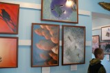 Światowa Wystawa Fotografie Dzikiej Przyrody 2010. W Muzeum Ziemi Wschowskiej