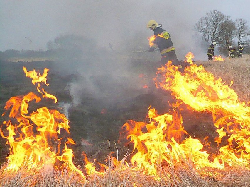 Pożary traw w Żorach - zobaczcie, jak kończy się wypalanie traw [UWAGA! DRASTYCZNE ZDJĘCIA]