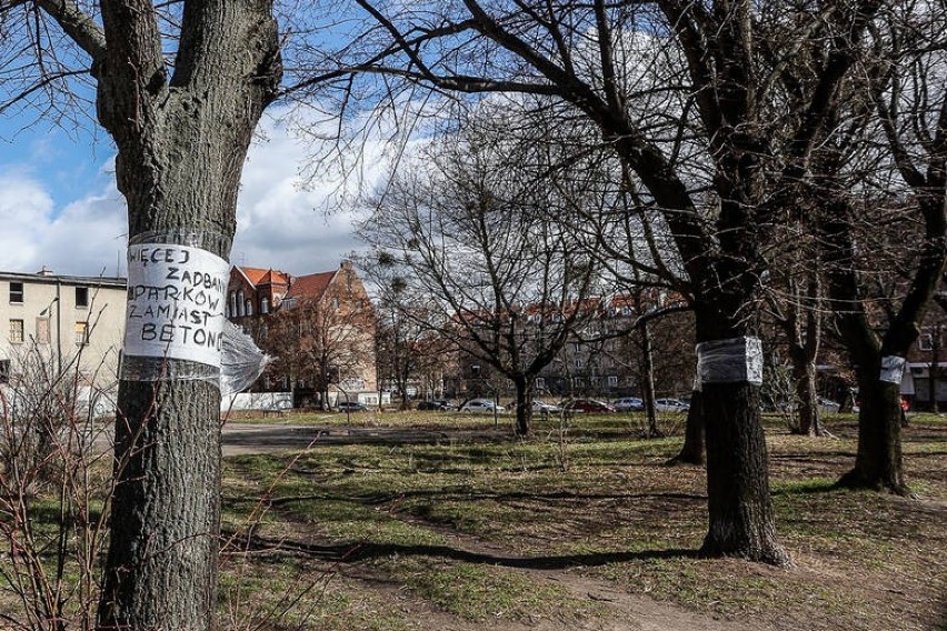 Mieszkańcy Dolnego Miasta obawiali się wycinki drzew.