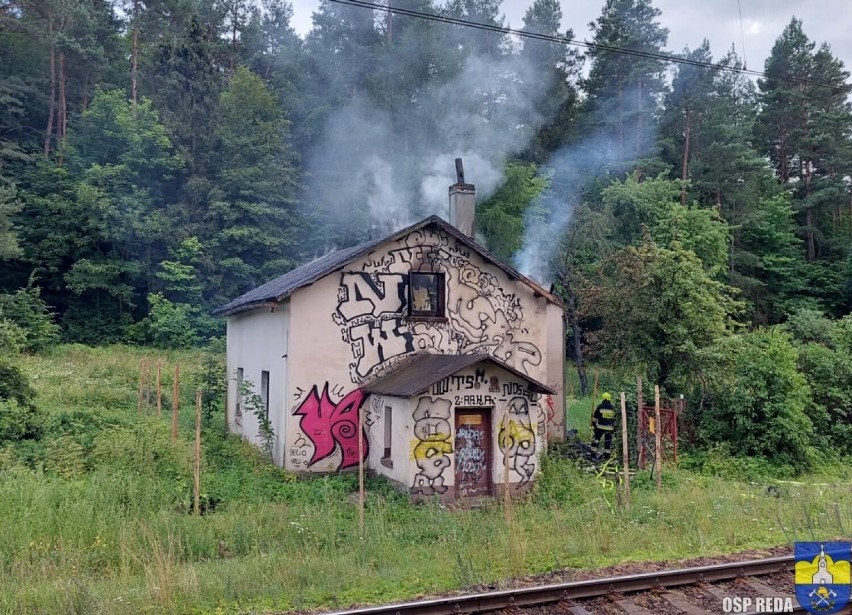 Pożar w pobliżu stacji PKP Reda - Pieleszewo (10.07.2022) | ZDJĘCIA