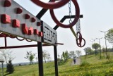 Zobacz Ninja Park na Górze św. Marcina w Tarnowie. To wyjątkowe miejsce dla fanów ekstremalnych treningów [ZDJĘCIA]