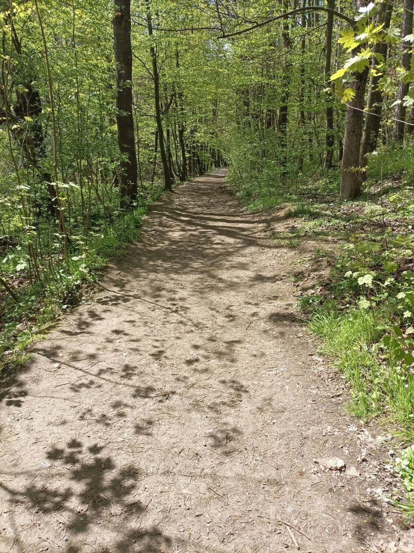 Trasa spacerowa ma około 4 km