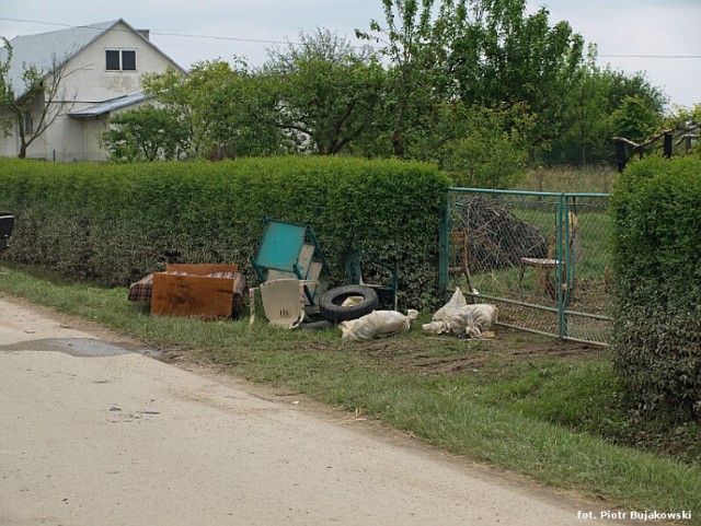 Fot. Piotr Bujakowski