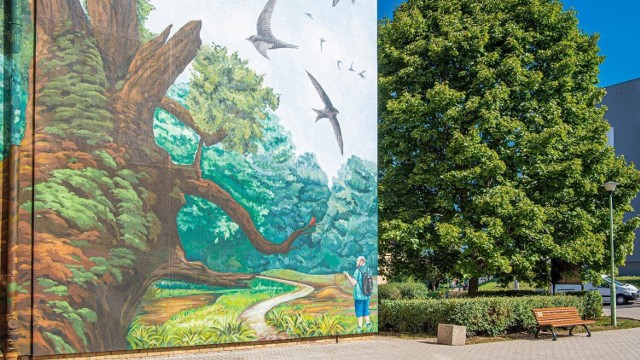 Mural powstał na budynku Szkoły Podstawowej nr 50 na Starym Żegrzu. Ma za zadanie m.in. walczyć ze smogiem.