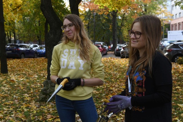 Na Politechnice Krakowskiej posadzono nową łąkę kwietną i kolejne pół tysiąca wiosennych kwiatów