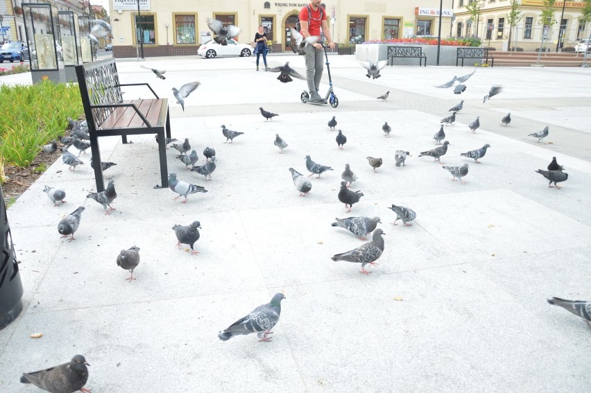 Rynek w Bochni po rewitalizacji