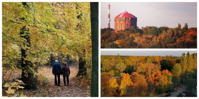 Piękna złota polska jesień w naszym mieście. Zobaczcie Wasze zdjęcia Gliwic. Są magiczne! Kliknijcie w pierwsze, a następnie przesuwajcie w lewo lub wybierajcie "następne">>>>