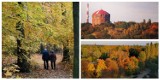 Złota polska jesień w Gliwicach na Waszych zdjęciach! Zobaczcie, jak pięknie jest w naszym mieście