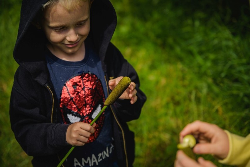 Relacja ze spaceru botaniczno – przyrodniczego w ramach Programu Eko Warta Cementowni Warta S.A.