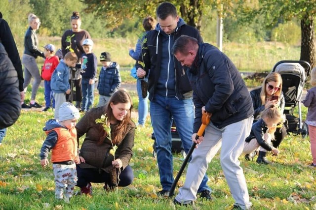 Kolejne drzewa w Czeladzi posadzone zostały ostatnio w rejonie ulicy Piłsudskiego 

Zobacz kolejne zdjęcia/plansze. Przesuwaj zdjęcia w prawo naciśnij strzałkę lub przycisk NASTĘPNE