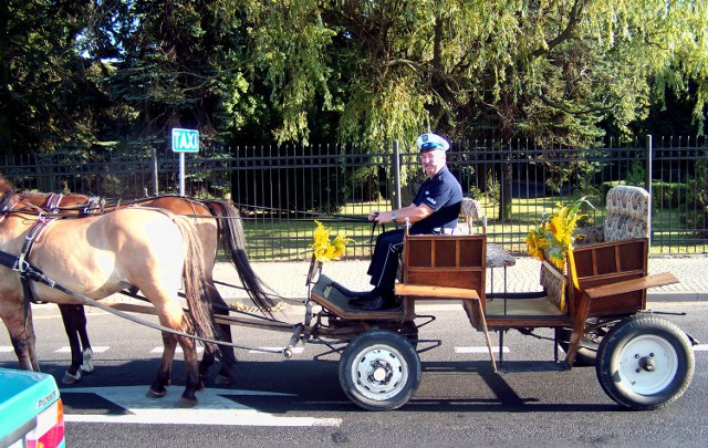 Pijany woźnica trafił do policyjnego aresztu