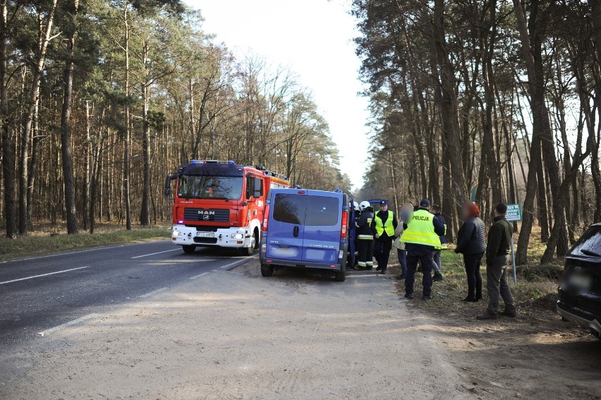 Jeleń zderzył się z busem pod Gołanicami. Dwie osoby ranne