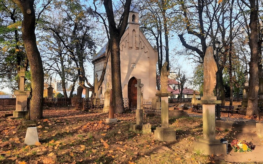 Rekordowy wynik kwesty na stary cmentarz na Piaskach w Tarnobrzegu - Miechocinie. Zebrano blisko 25 tysięcy złotych