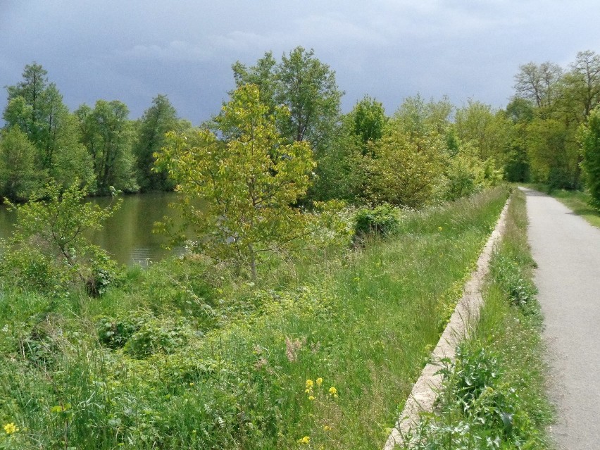 Kładka pieszo-rowerowa ma powstać w okolicach wiaduktu nad rzeką Prosną ZDJĘCIA