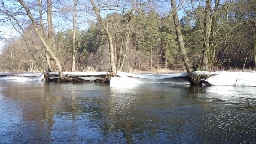 Rzeka Wda: Spływ kajakowy po raz osiemnasty