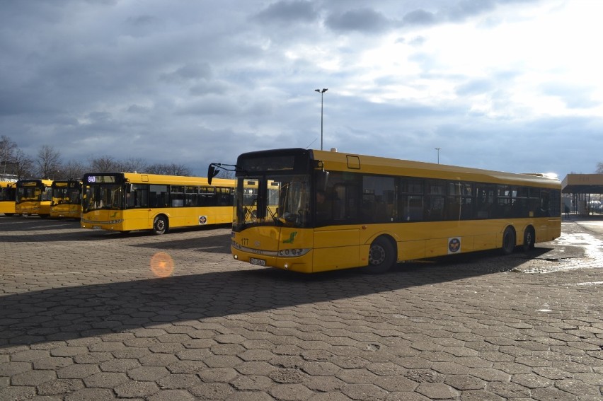 Nowe autobusy w Gliwicach - Solarisy zastąpią Ikarusy