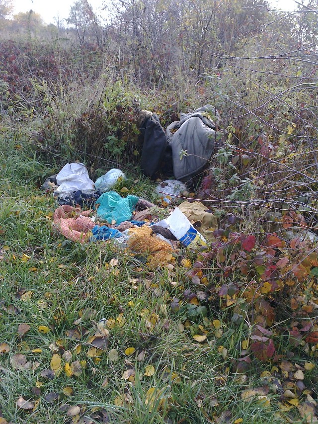 Takie wysypiska śmieci można znaleźć w Ząbkowicach