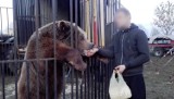 Jest prawomocny wyrok dla właścicieli cyrku, którzy znęcali się nad niedźwiedziem Baloo. Dostali rok więzienia w zawieszeniu 