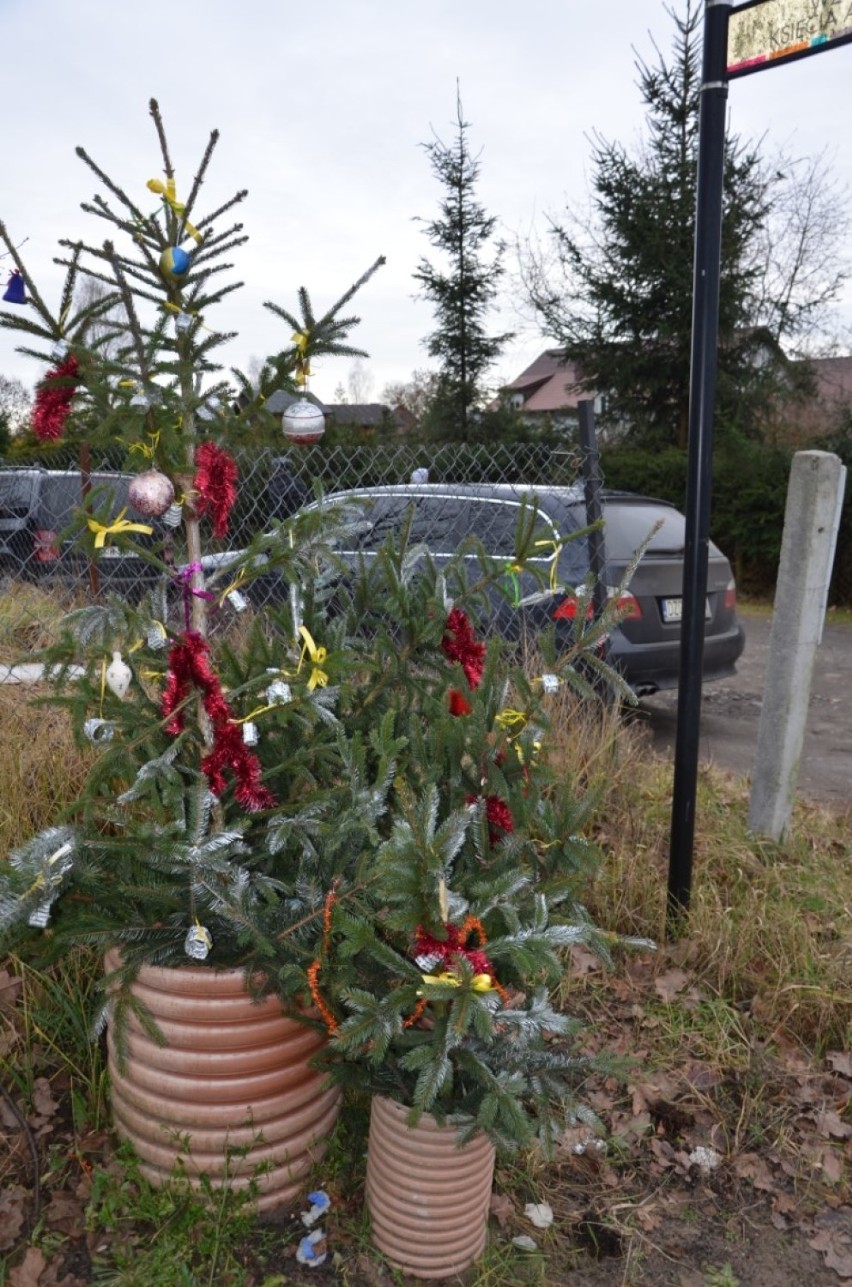 Ścieżki rowerowe w Mikoszewie  w świątecznych dekoracjach