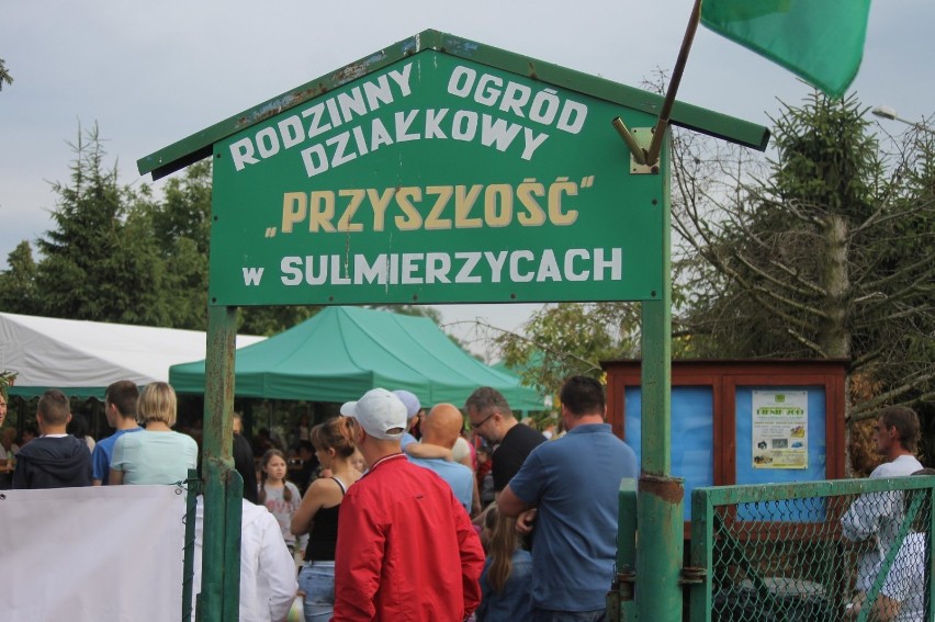 Piknik 2019 w ROD "Przyszłość" w Sulmierzycach [ZDJĘCIA]