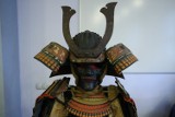 Samuraje w palmiarni. Zobacz, jakie zbroje nosili rycerze dawnej Japonii [ZDJĘCIA]
