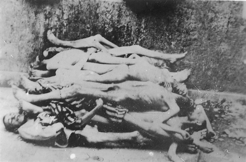 Ofiary obozu koncentracyjnego / Repozytorium wolnych zasobów
