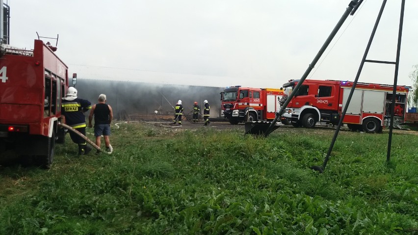Pożar w Chełmcach pod Kaliszem. Spłonęła wiata do hodowli...
