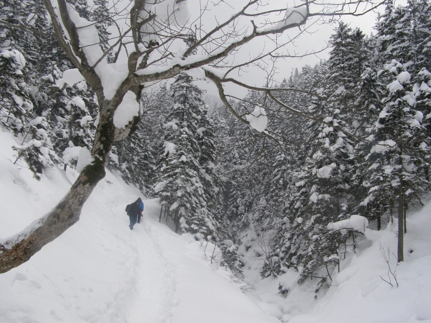 Zima w górach 2021/2022. Zamknięte szlaki i zagrożenie....