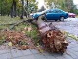 Silny wiatr powalił drzewa i uszkodził samochody w Wałbrzychu [ZDJĘCIA]