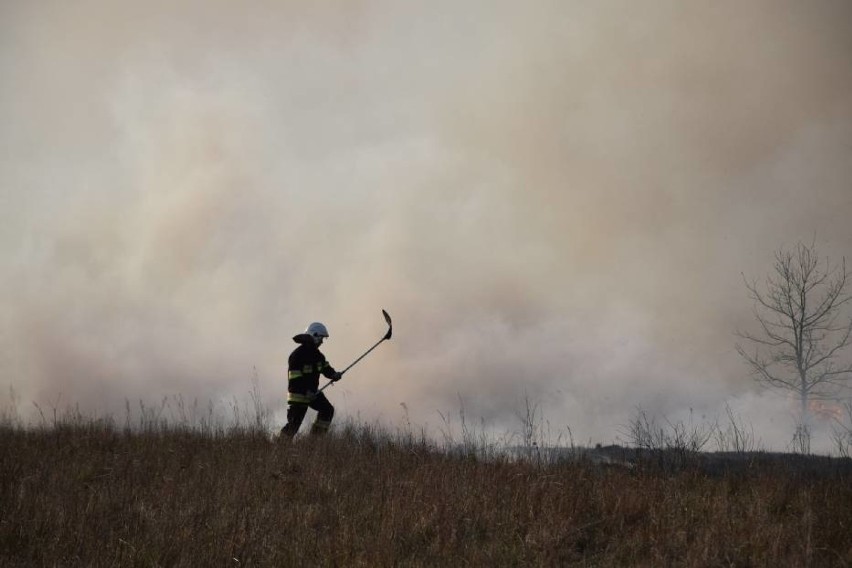 Około trzech hektarów lasu paliło się w okolicach Klęśnika...