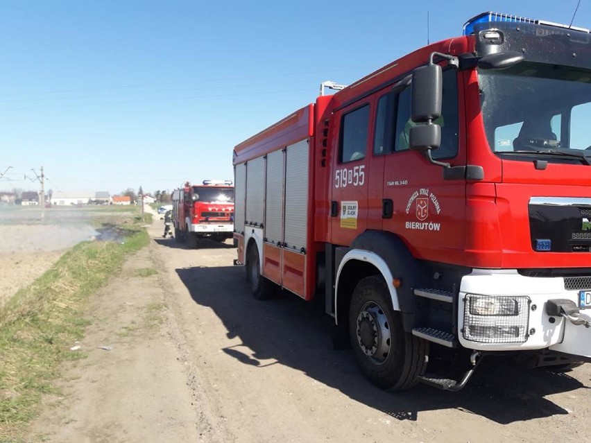 Bierutów: OSP interweniowała do pożaru trawy [FOTO]
