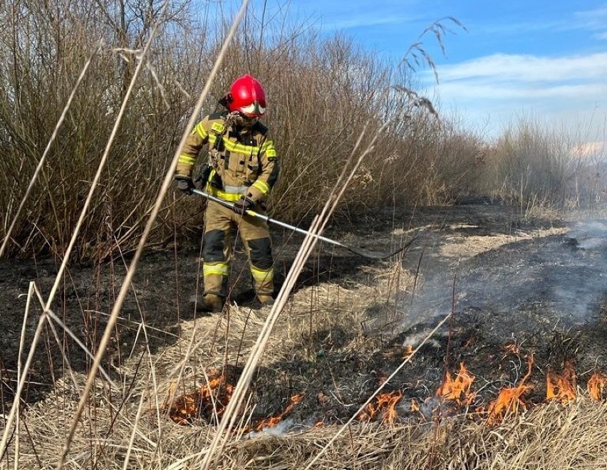 Na Sądecczyźnie już płoną trawy, podobnie jest w innych regionach. Strażacy walczą nie tylko z ogniem ale też z ludzką głupotą