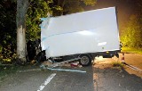 Kamienna Karczma: Ciężarowe Iveco rozbiło się na drzewie drodze krajowej nr 22